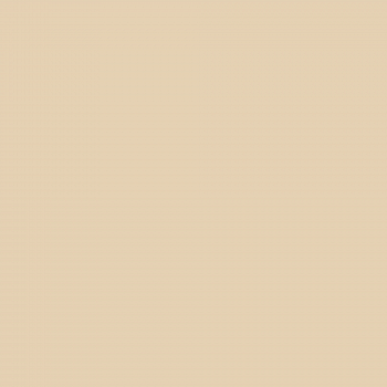 Краска Charmant цвет Hemp Fiber NC20-0317 Sommet 0.9 л