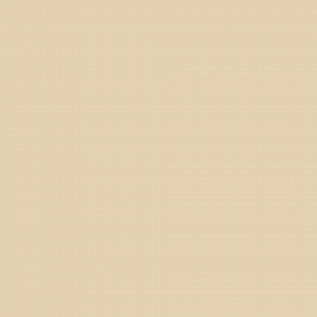 Краска Charmant цвет Hemp Fiber NC20-0317 Sommet 0.9 л