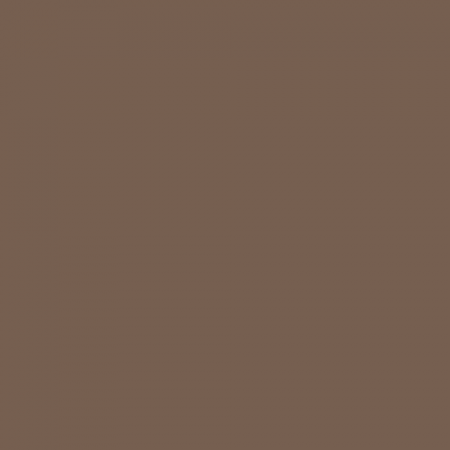 Краска Swiss Lake цвет Salt Caramel NC25-0472