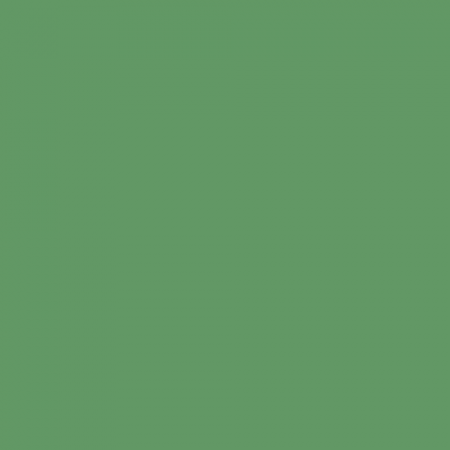 Краска Little Greene цвет NCS S 3040-G20Y