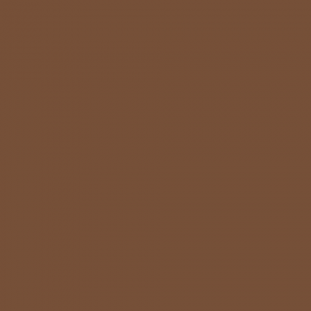 Краска Charmant цвет RAL Beige brown 8024 Sommet 0.9 л