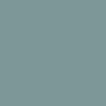 Краска Charmant цвет Dark Ivy NC26-0504 Sommet 0.9 л
