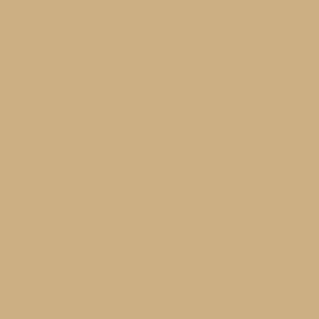 Краска Little Greene цвет Beige RAL 1001