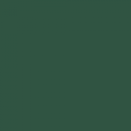Краска Swiss Lake цвет Pine green RAL 6028