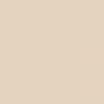 Краска Charmant цвет Delicate Nude NC13-0091 Sommet 0.9 л