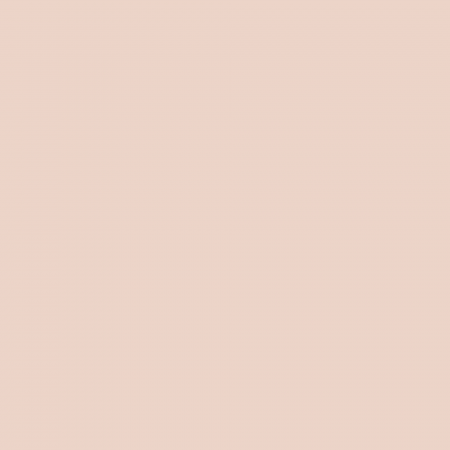 Краска Charmant цвет Desert Rose NC31-0649 Sommet 0.9 л
