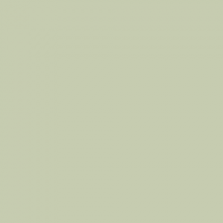 Краска Swiss Lake цвет Splash Of Lime SL-2691