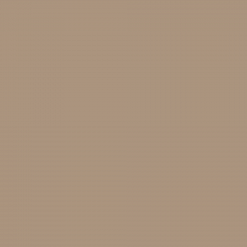 Краска Charmant цвет Hazelnut NC19-0282 Sommet 0.9 л