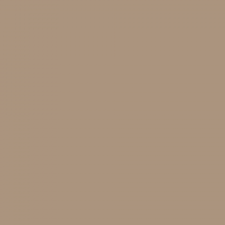 Краска Charmant цвет Hazelnut NC19-0282 Sommet 0.9 л