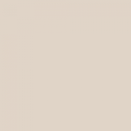 Краска Swiss Lake цвет Light Suede NC12-0064