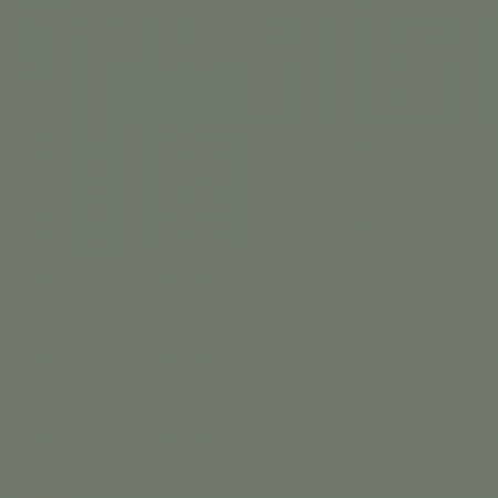 Краска Swiss Lake цвет Four Leaf Clover SL-2643