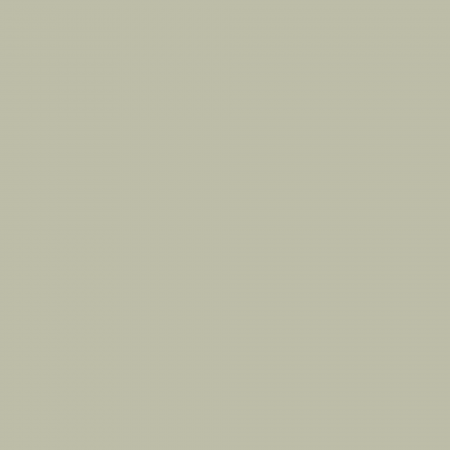 Краска Charmant цвет Fir Candle NC34-0743 Sommet 0.9 л