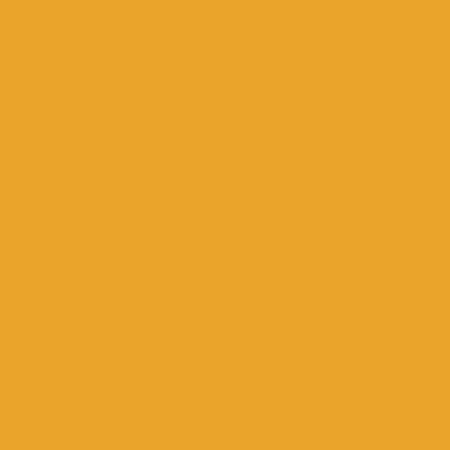 Краска Swiss Lake цвет Juicy Orange SL-1070
