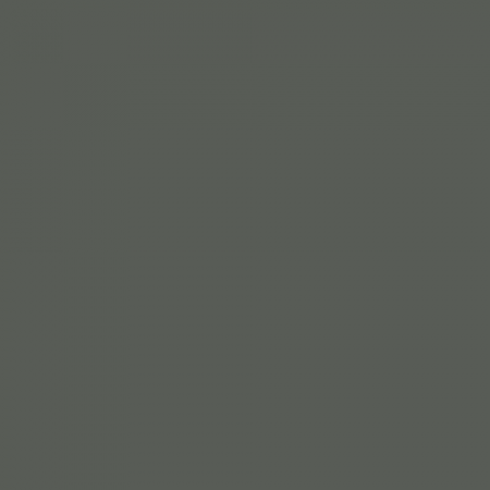 Краска Swiss Lake цвет Tarpaulin grey RAL 7010