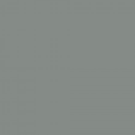 Краска Charmant цвет Felt Hat NC40-0910 Sommet 0.9 л