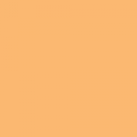Краска Little Greene цвет NCS S 1040-Y30R