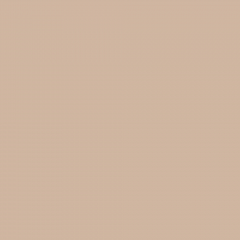Краска Charmant цвет Milk Sorbet NC19-0283 Sommet 0.9 л