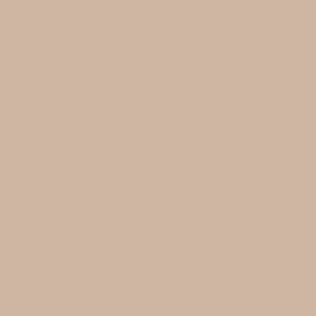 Краска Charmant цвет Milk Sorbet NC19-0283 Sommet 0.9 л
