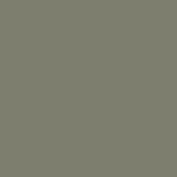 Краска Charmant цвет Dark Olive NC38-0867 Sommet 0.9 л