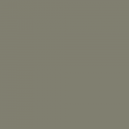 Краска Charmant цвет Dark Olive NC38-0867 Sommet 0.9 л