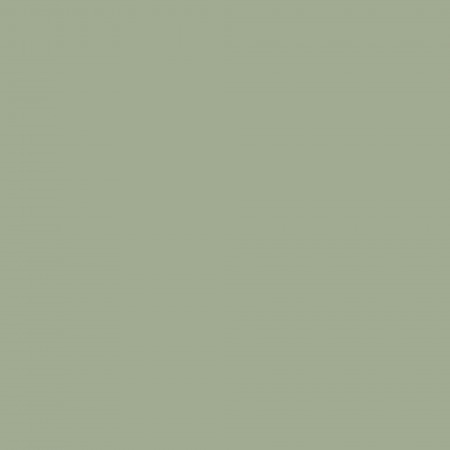 Краска Hygge цвет Forest Mist HG07-016 Fleurs 0.4 л