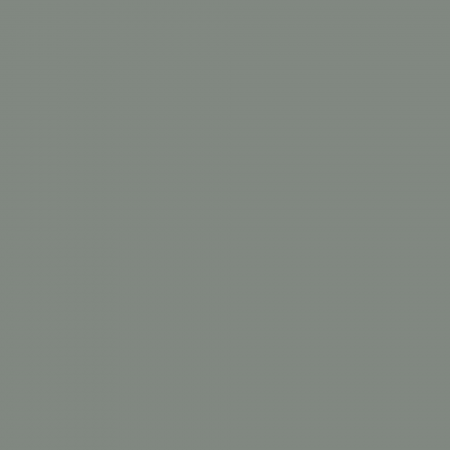 Краска Argile цвет Terre Verte T831 Mat Veloute 0.125 л