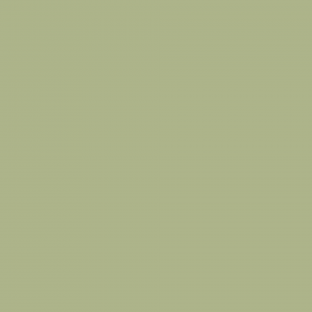 Краска Charmant цвет White Vines NC37-0833 Sommet 0.9 л