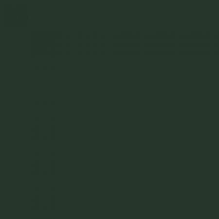 Краска Swiss Lake цвет Fir green RAL 6009