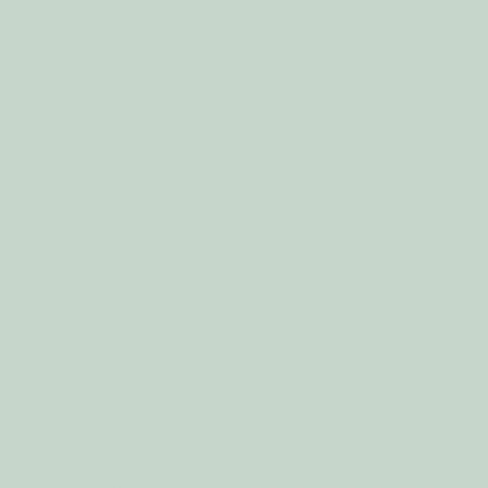Краска Charmant цвет Minty Sky NC34-0741 Sommet 0.9 л