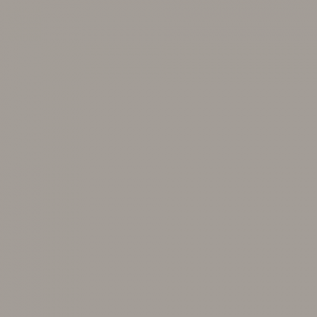 Краска Swiss Lake цвет Intellectual Grey SL-0589