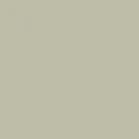 Краска Swiss Lake цвет Fir Candle NC34-0743