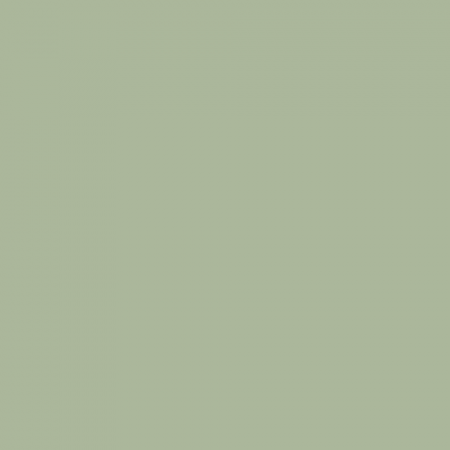 Краска Swiss Lake цвет Fava Bean SL-2684