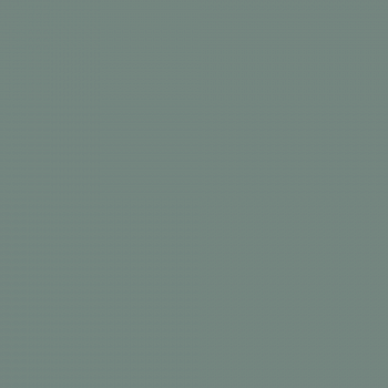 Краска Charmant цвет Green Gem NC36-0797 Sommet 0.9 л