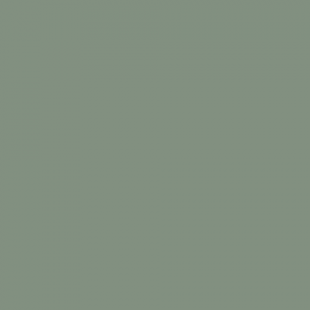 Краска Swiss Lake цвет Molly May SL-2639