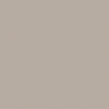 Краска Charmant цвет Grey Swan NC24-0435 Sommet 0.9 л