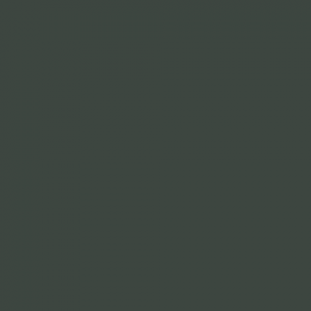 Краска Swiss Lake цвет Forest Green SL-2520