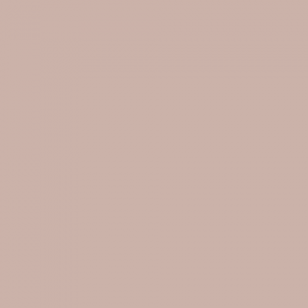 Краска Little Greene цвет NCS S 2010-Y80R
