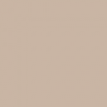 Краска Swiss Lake цвет Vanilla Latte NC24-0423