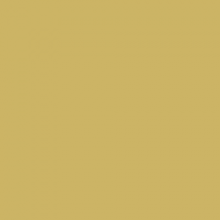 Краска Swiss Lake цвет Golden Opportunity SL-0970