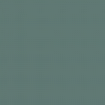 Краска Charmant цвет Spirulina NC36-0809 Sommet 0.9 л