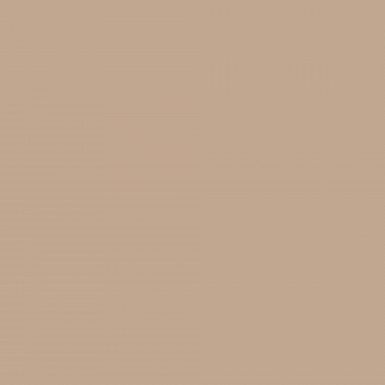 Краска Charmant цвет Nutmeg NC19-0291 Sommet 0.9 л