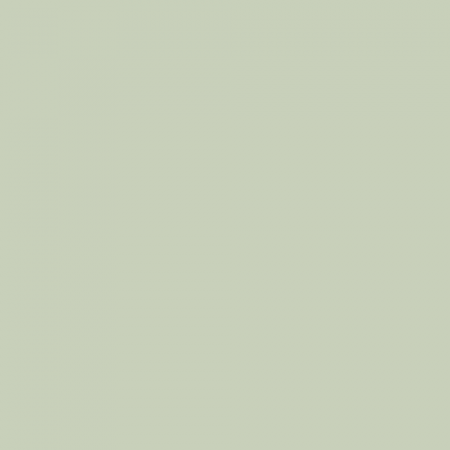 Краска Little Greene цвет NCS S 1510-G40Y