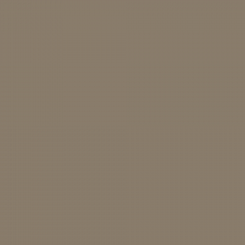 Краска Argile цвет Terre De Lanzarote T341 Mat Veloute 0.125 л