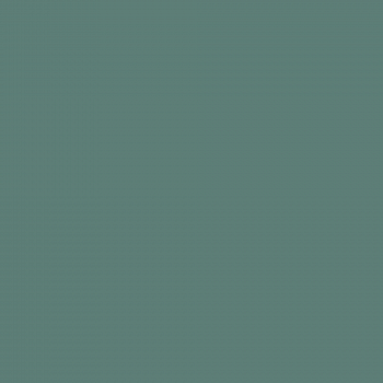 Краска Charmant цвет Bottle Glass NC35-0777 Sommet 0.9 л