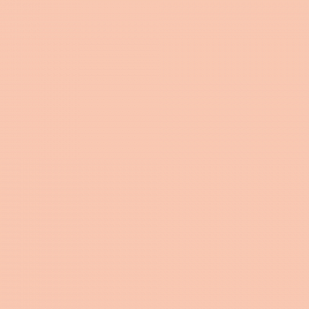 Краска Charmant цвет Juicy Peach NC31-0648 Sommet 0.9 л