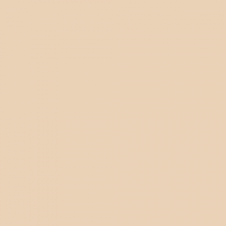 Краска Little Greene цвет NCS S 1010-Y40R