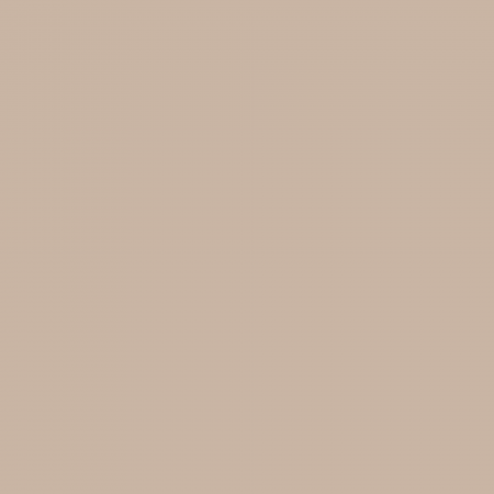 Краска Charmant цвет Vanilla Latte NC24-0423 Sommet 0.9 л