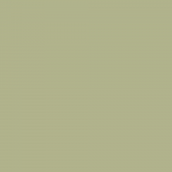 Краска Charmant цвет Sencha NC38-0862 Sommet 0.9 л