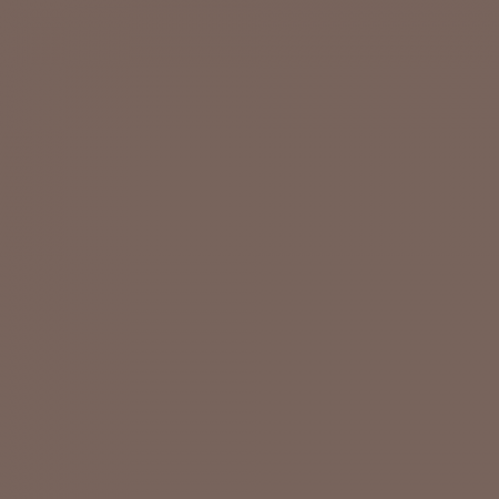 Краска Swiss Lake цвет Dark Chocolate NC10-0018