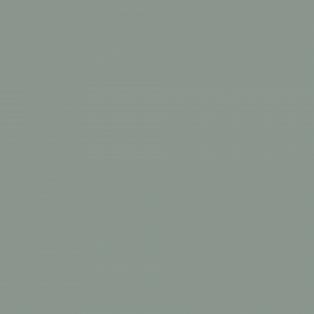 Краска Charmant цвет Green Pearl NC26-0498 Sommet 0.9 л